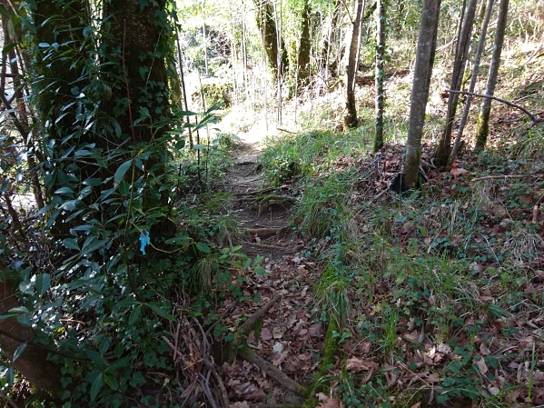 km2,8_opt.jpg