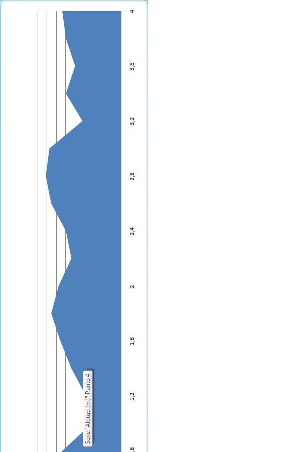 perfil carrera moraña.jpg