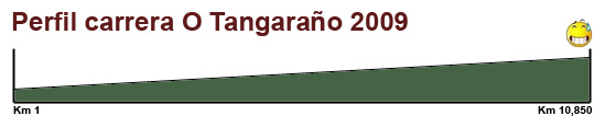 perfiltangaraño.jpg